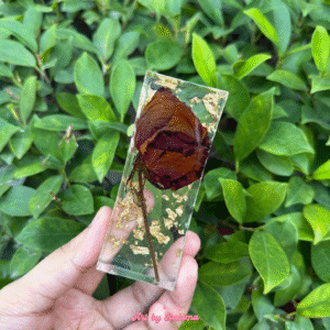 Rose Keepsake (Deep Resin Preservation)
