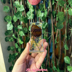 Resin Cubic Keepsake (Deep Preservation)